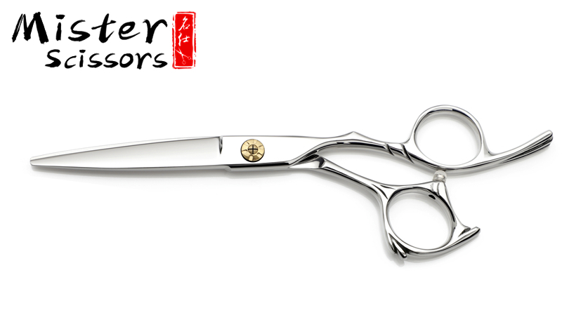 Haarschneidende Friseurschere Hair Cutting Barber Scissor