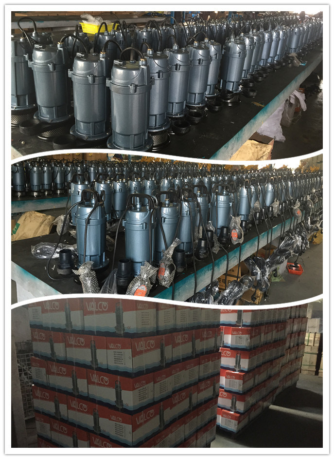 Submersible Pump with Float Switch, Water Pump, Garden Pump