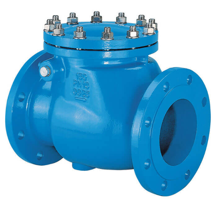 Cast Iron Spring Loaded Butterfly Check Valve