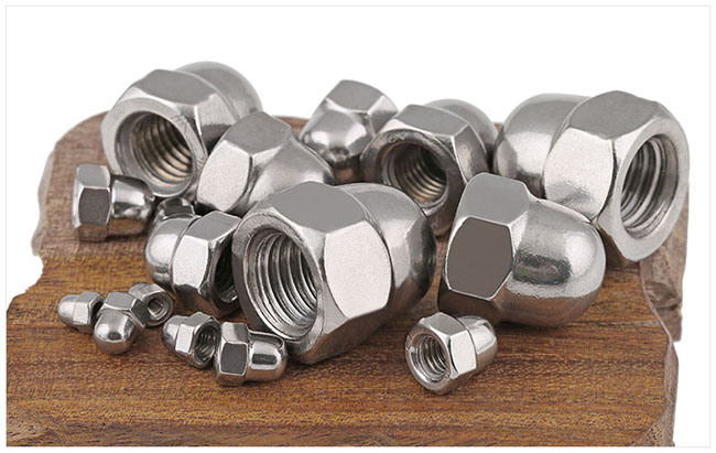 Stainless Steel Slotted Hex Cap Nut