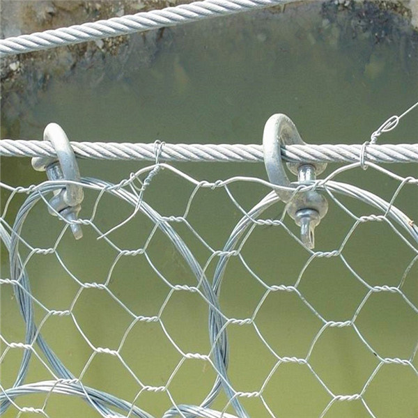 High Quality PVC Coated Hexagonal Wire Mesh for Chicken