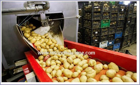 Potato French Fries Machine Automatic Frozen French Fries Machinery for Sale