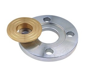 Companion Flange Stainless Steel Flange Brass Pipe Fittings Flange Plate
