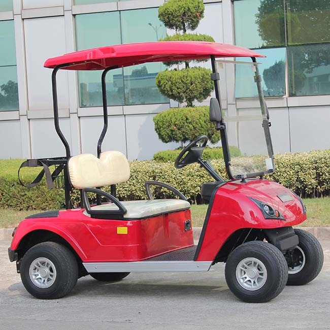 2 Seats Mini Golf Cart for Sale with Ce Approved (DG-C2)