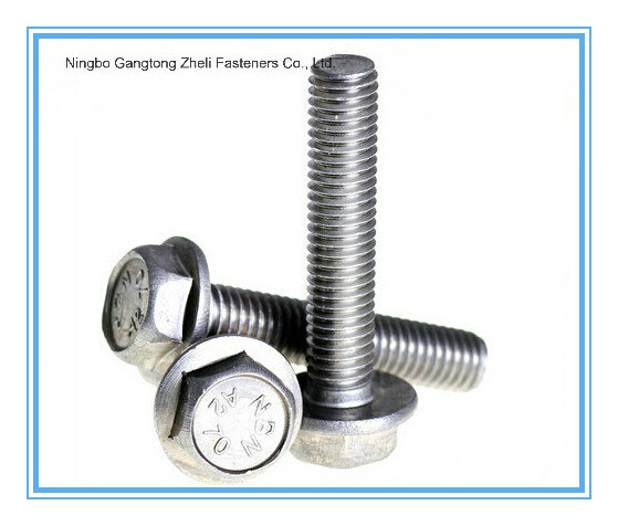 M5-M30 of Hex Flange Bolt with Carbon Steel