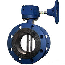 Double Flanged Wafer and Lug Type Gear Operated Butterfly Valve