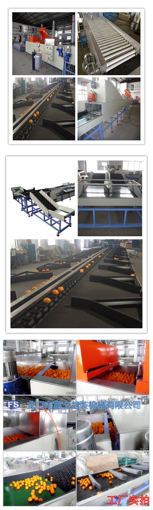 Ce and ISO9001 Approved Tomato Washing Drying Grading Processing Machine