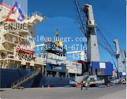 Electric Hydraulic Telescopic Boom Marine Crane