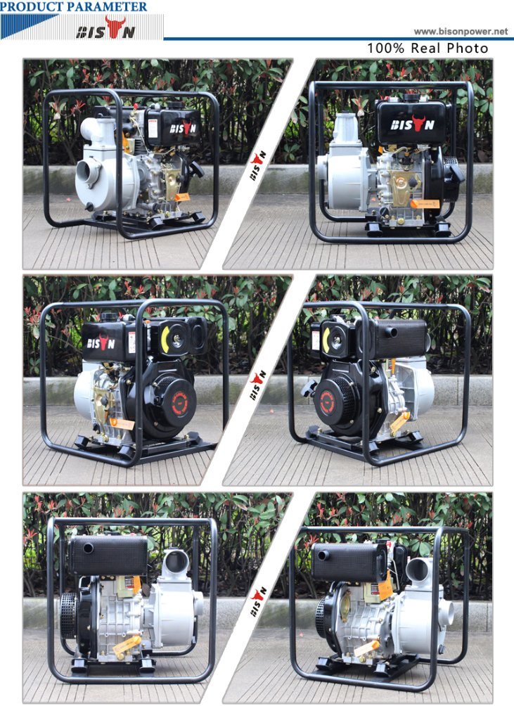 Classic China 4 Stroke Water Pumps, Air Cooled Ce Certificate Pump Water Supply, 2 Inch Diesel Water Pump