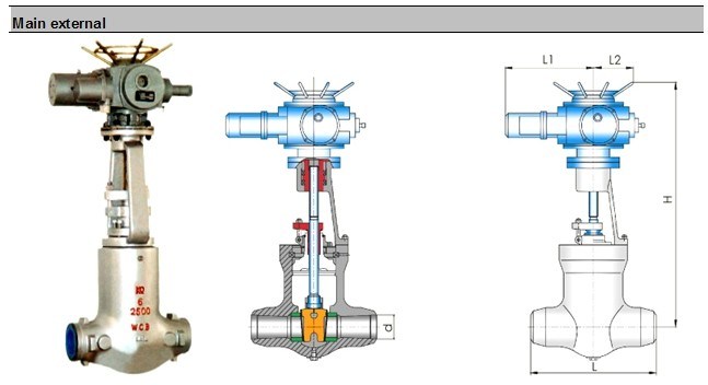 Power Station High Temperatur and Pressure Gate Valve