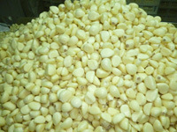 2017 Fresh Peeled Garlic with Competitive Price
