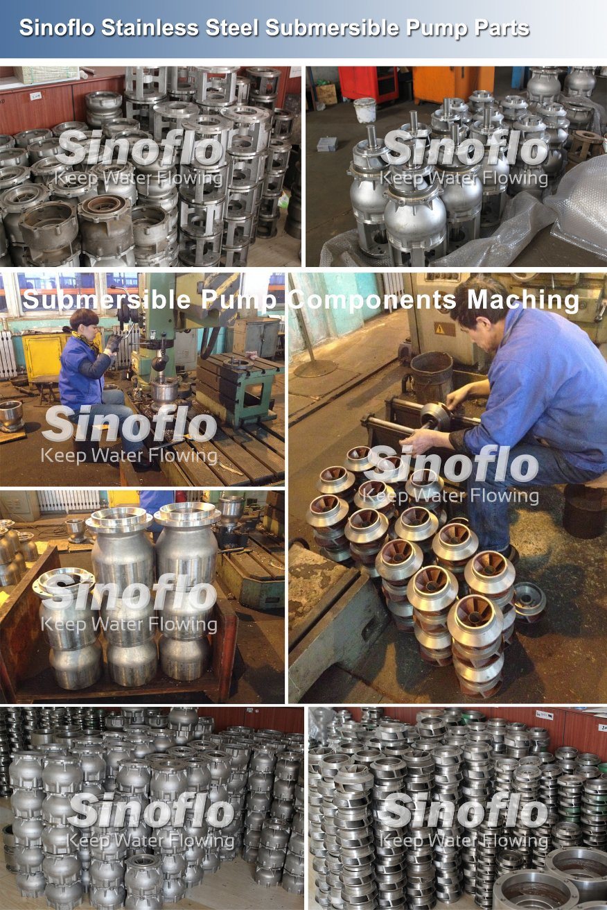 Stainless Steel Deep Well Borehole Corrosion Resistance Sea Water Pump