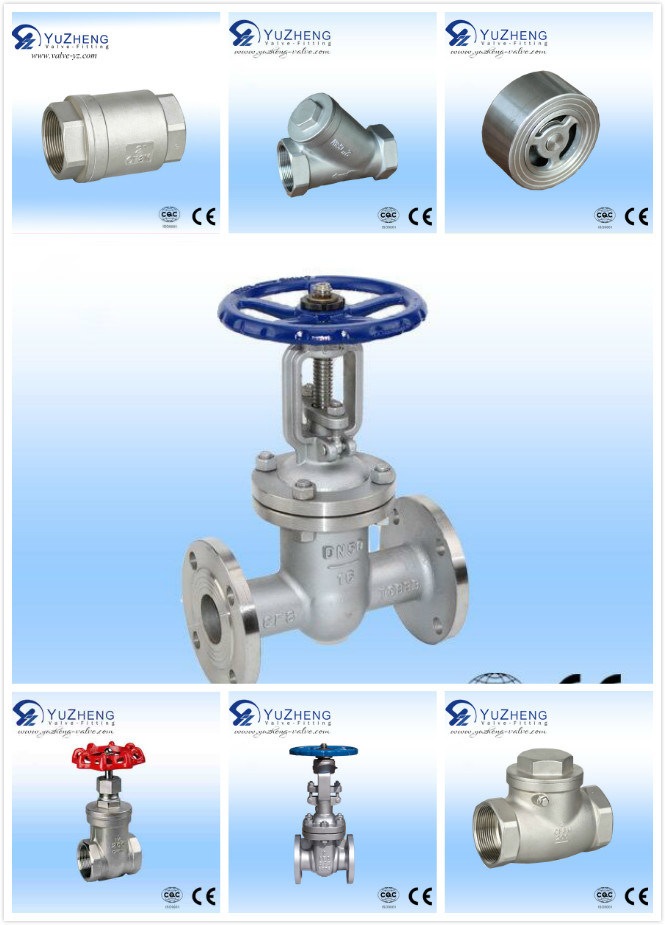 ANSI Flanged Stainless Steel Gate Valve