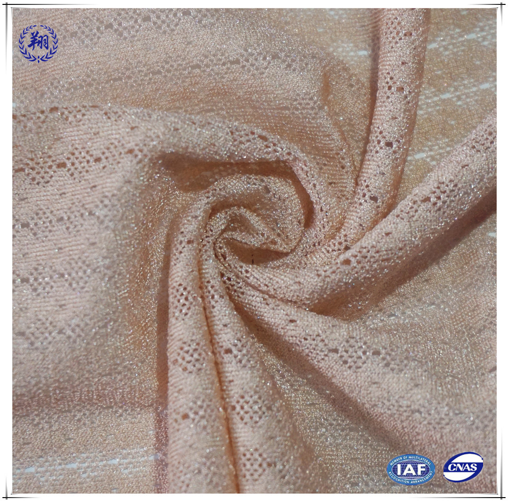 Nylon Spandex Shiny Warp Knit Lace Mesh Fabric