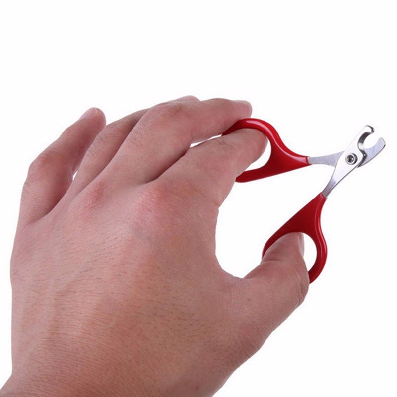 8cm Pet Product Red Small Dogs with Pet Nail Scissors Cats Use Nail Clippers Pet Cat Tools Supplies 6ca084