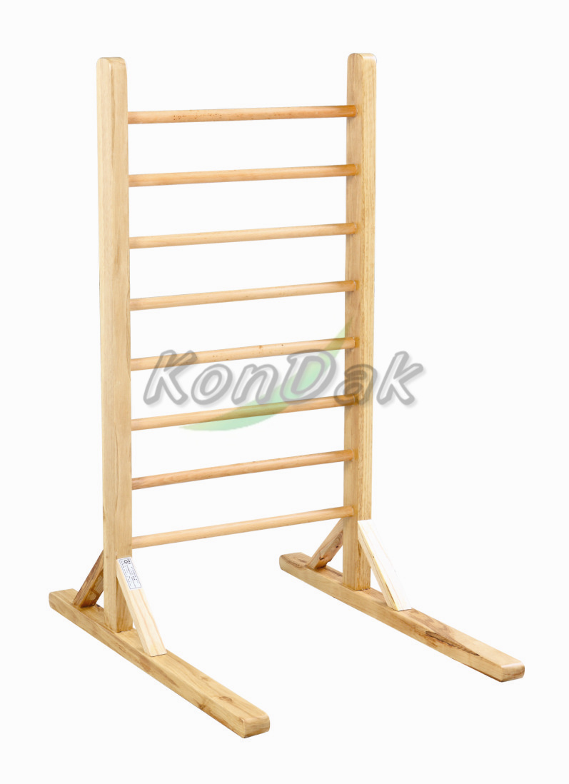 Kids Use Ladder Balance Training