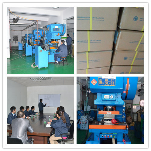 Custom Made Various Kinds of Precision Stamping, Metal Fabrication From China Manufacturer (HS-MS-020)