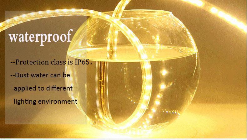 Waterproof Optional SMD 2835 5050 LED Flex Flexible Strip Light