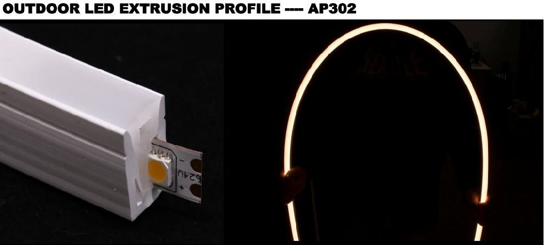 Ap302 LED Neon Flex LED Flexible Strip DC12/24V Mini Waterproof SMD LED Rigid Strip Light LED Silicone Tube Profile