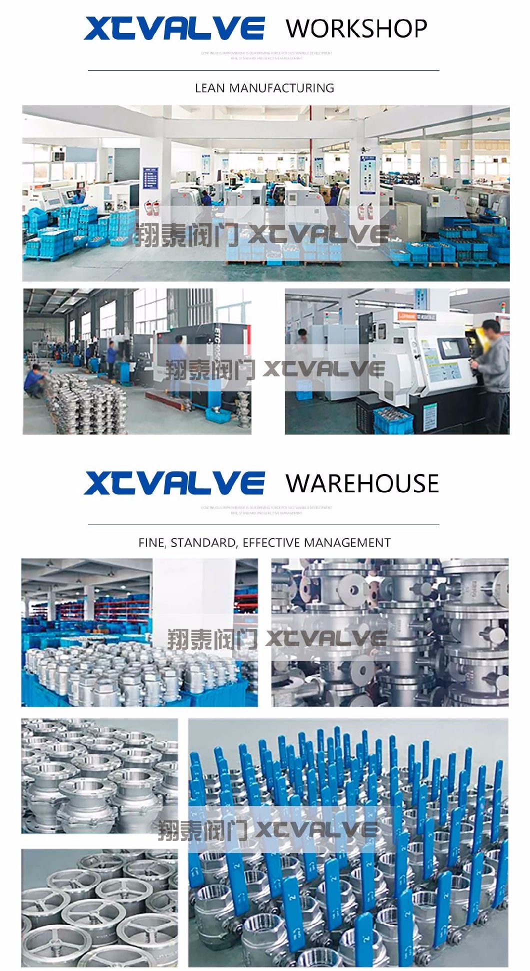 Steam Series Pneumatic Angle Seat Valve with Actuator