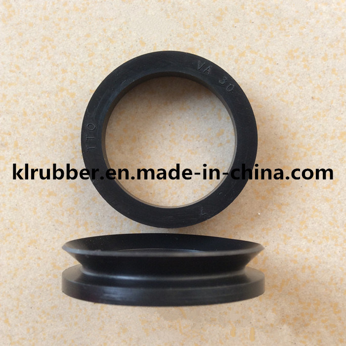 Rubber Oil Seal with Abrasion Resistance