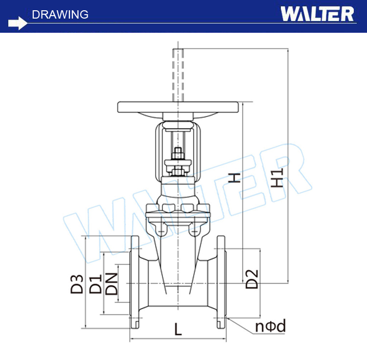 Hot Sale Rising Stem Water Seal Resilient Wedge Gate Valve