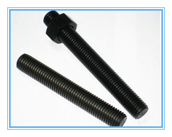 Stainless Steel Full Threaded Bolt/Thread Rod with Nuts
