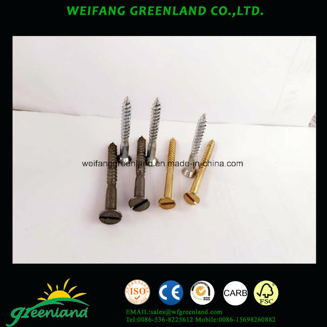 Slotted Raised Countersunk Head Wood Screw/Slotted Oval Head Wood Screws/Oval Countersunk Head Wood Screws/Cross Recessed Raised Countersunk Head Wood Screws