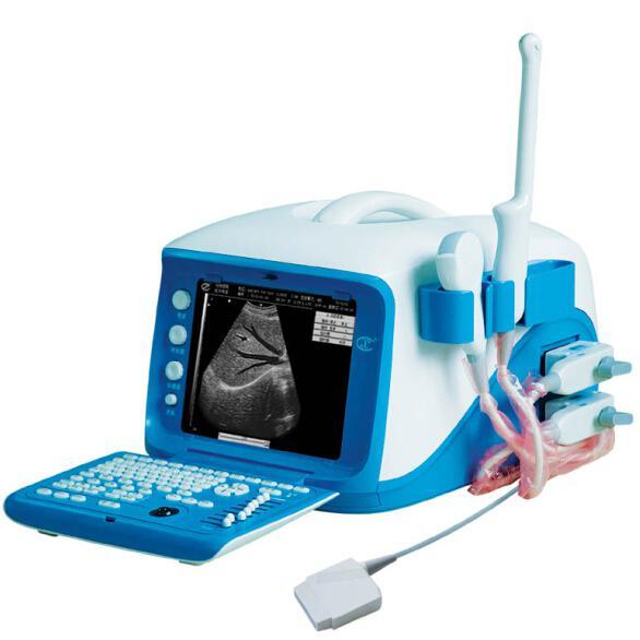 Medical Full Digital Doppler Ultrasound Scanner Price Wt-6000