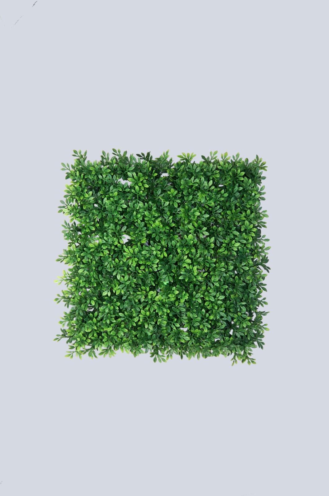 PE Thee Leaf Artificial Turf for Home Decoration (49806)