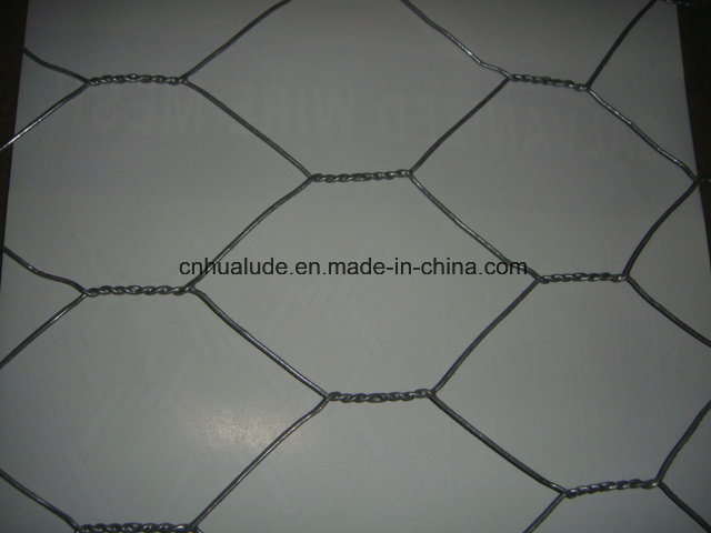 Hot Dipped Heavy Galvanized Hexagonal Chicken Wire Mesh