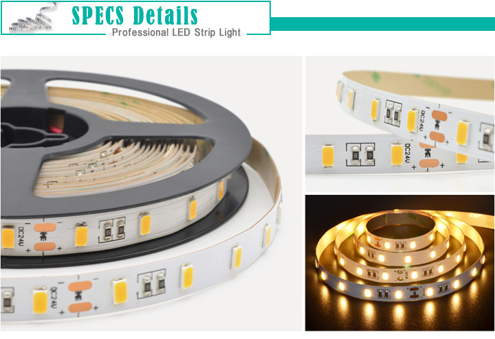 Low Voltage DC12V 24V SMD5630 LED Strip Light in Professional Quality