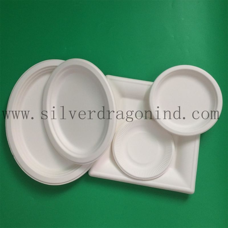 Biodegradable Sugarcane Pulp Paper Bowl, Disposable Bowl