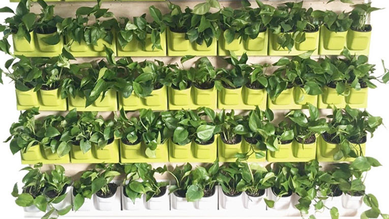 Custom Wall Hanging Flower & Plant Plastic Garden/ Nursery Pots