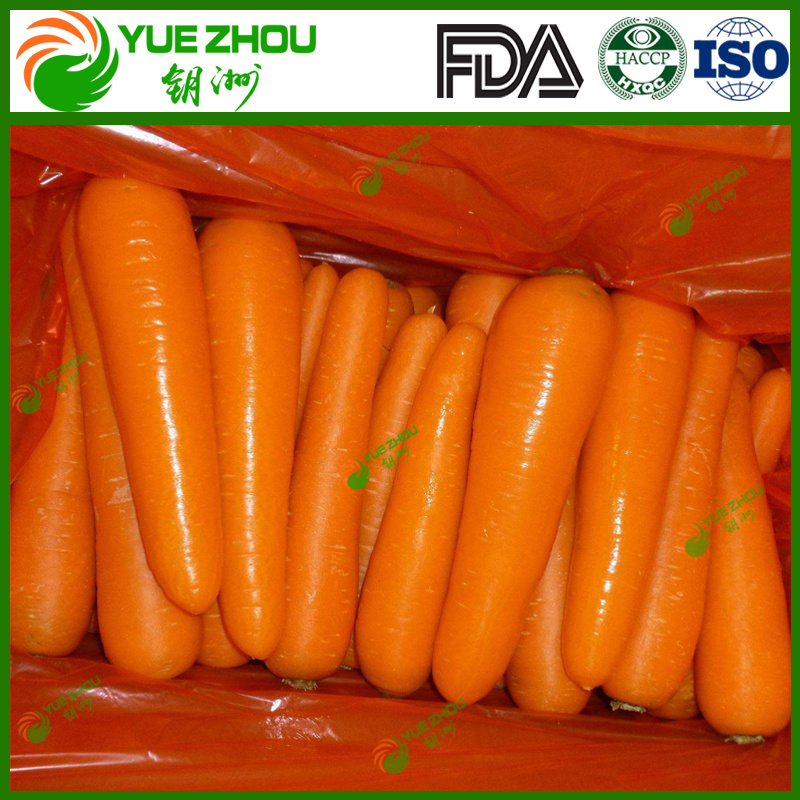 2018 Fresh New Crop Organic Carrot 10kg Carton Packing with Cheap Price