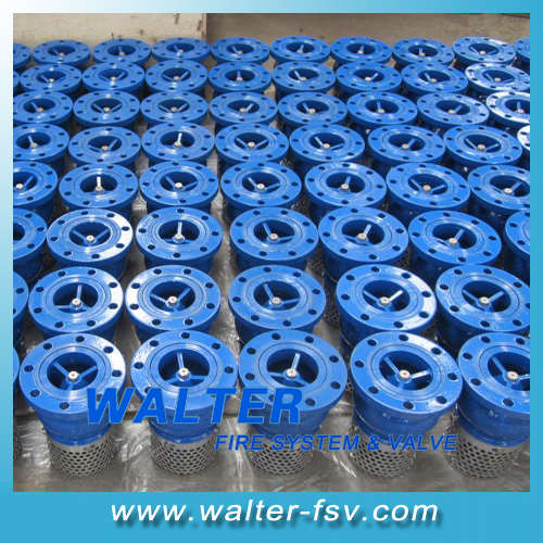 Cast Iron Foot Valve with Screen