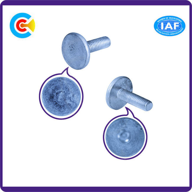 DIN/ANSI/BS/JIS Carbon-Steel/Stainless-Steel Non-Standard Round Head Screws Flat Plastic Fastening Screws