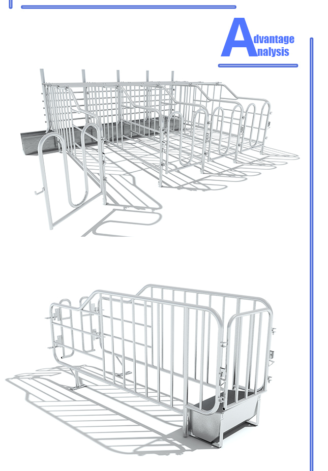 Pig Breeding Equipment Sow Gestation Cage for Sale