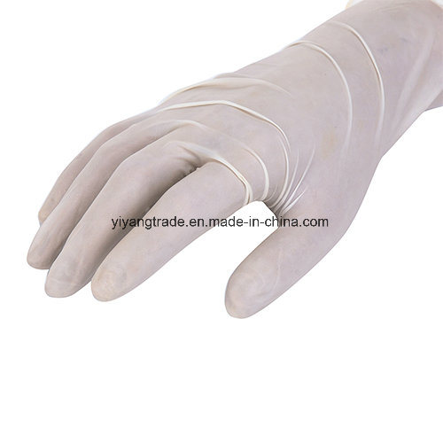 Latex Examination Glove with Powdered and Powdered Free