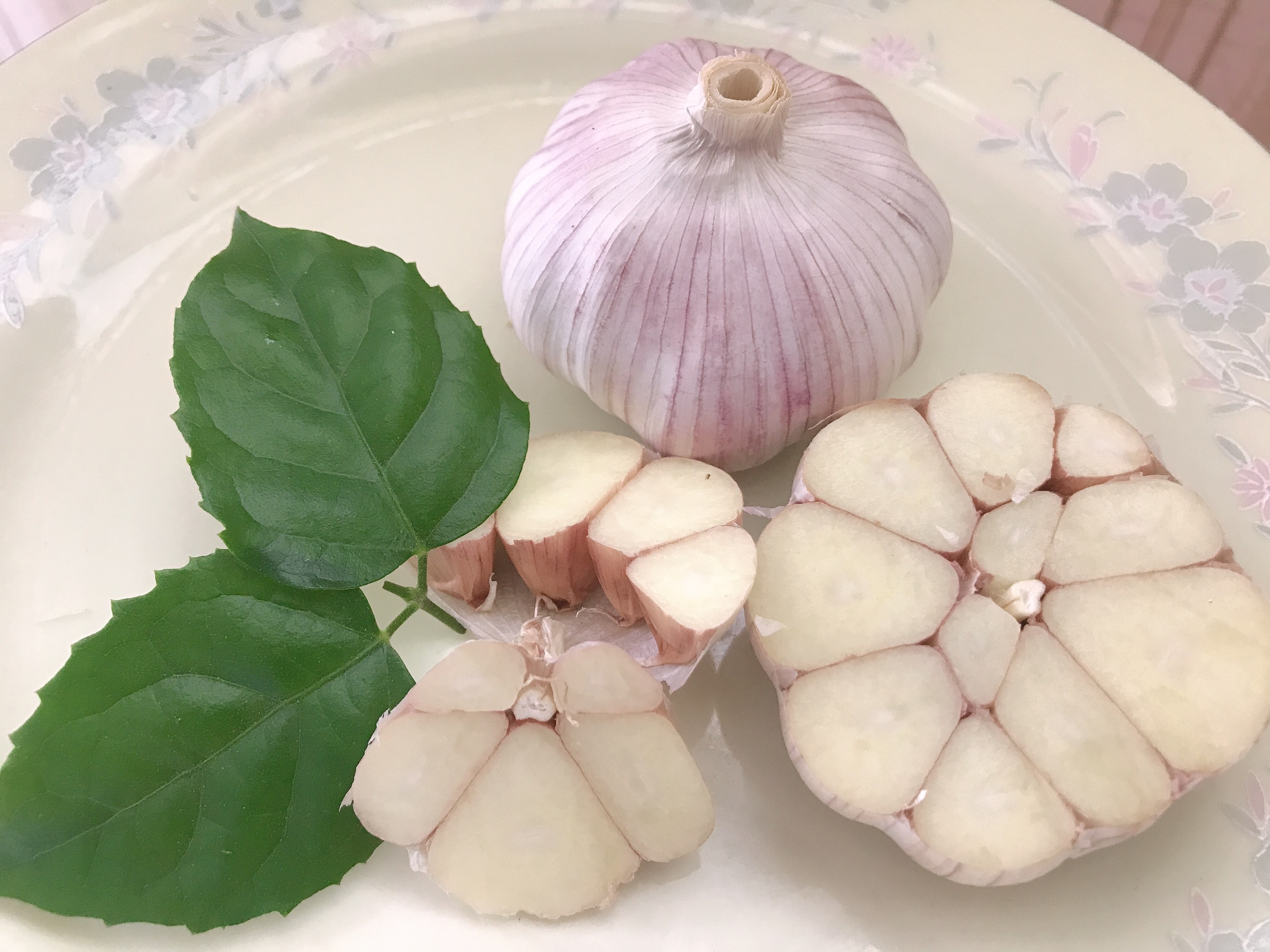 factory directly supply top grade fresh garlic factory directly supply top grade fresh garlic