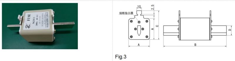 Ngt and Ngtc Fast Acting Fuses