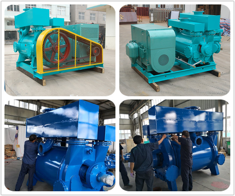 2bec/2be3 Water/Liquid Ring Vacuum Pump for Chemical Industry