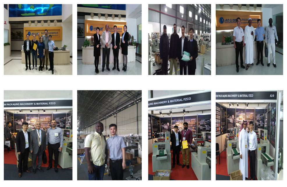 Sami-Automatic Wafer Packing Machine, Servo Packaging Machine, Nitrogen Packaging Machine