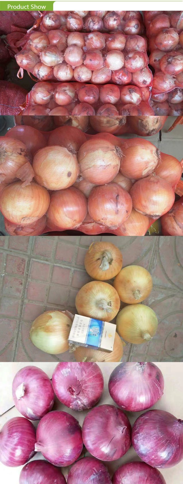 2017 New Crop Yellow Onion with Top Quality