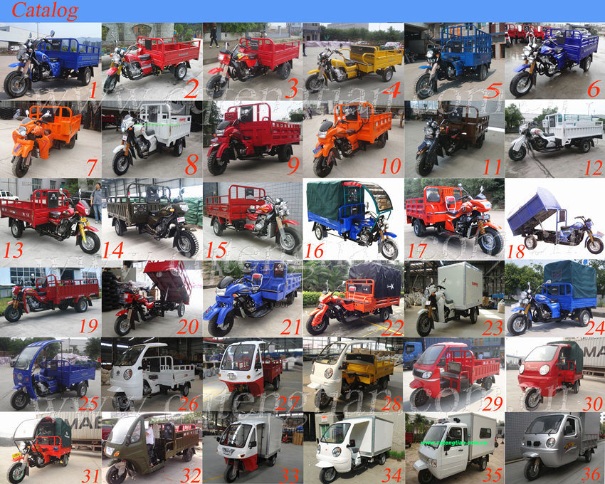 2015 New Chongqing China Adults Cargo Tri-Truck