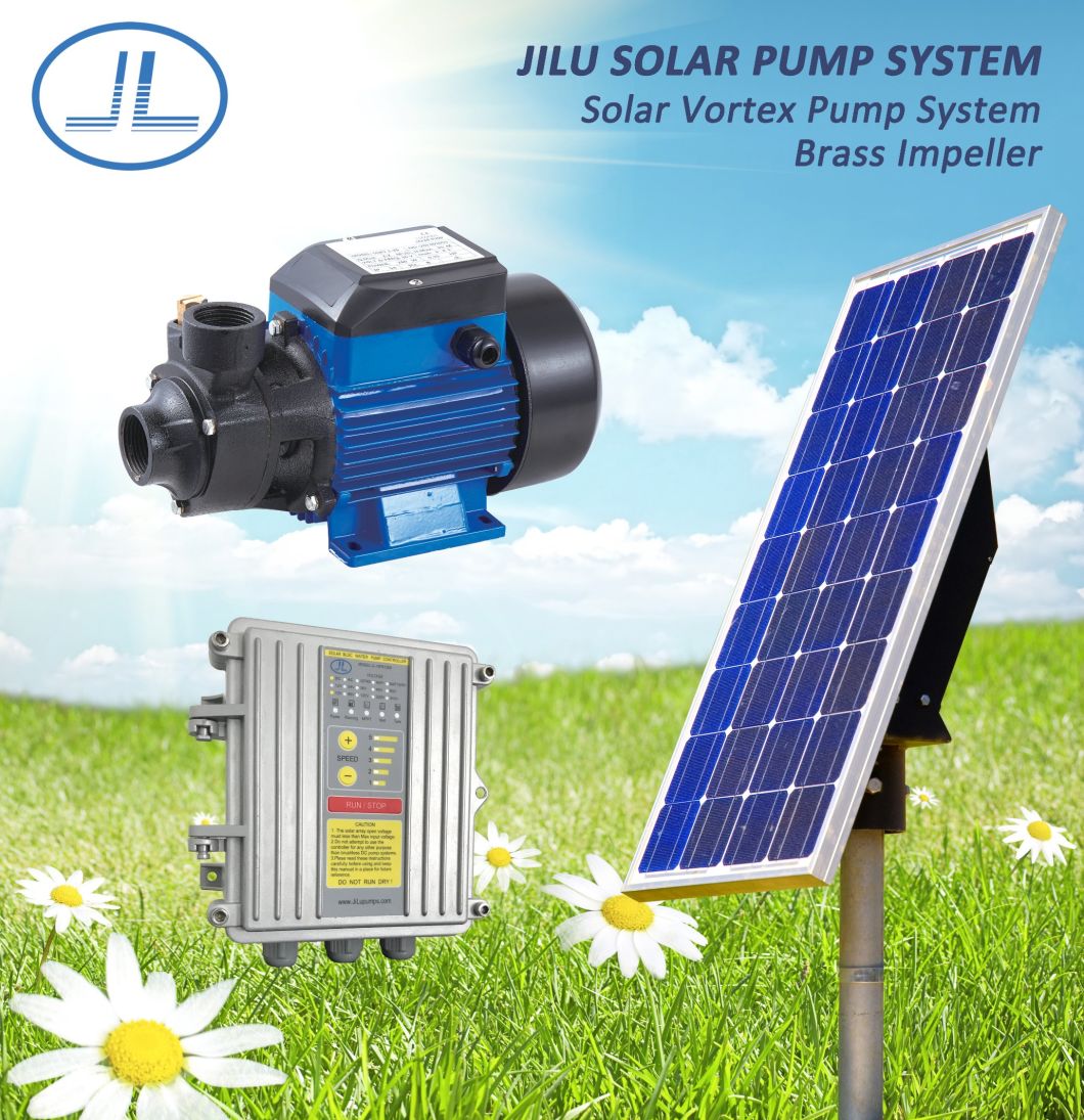 210W-750W Solar Vortex BLDC Water Pump, Booster Pump, Self-Priming Pump with MPPT Controller