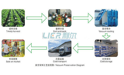 Ce Approved Fast Cooling Vegetables Vocuum Cooler