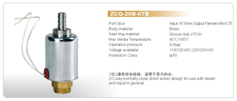 Steam Iron Solenoid Valve (ZCQ-20B-7B)