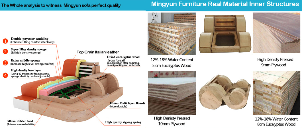 Corner Sofa for Living Room, Pieces of Furniture of House, Importer of Chinese Furniture