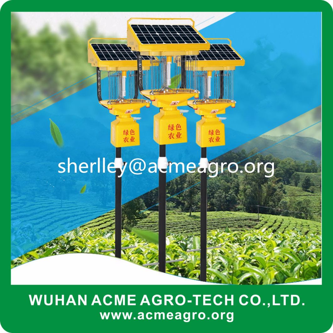 Indoor and Outdoor Solar Insecticidal Lamp